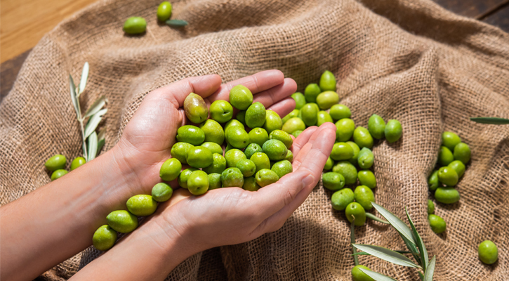 Obu Olive Extra Virgin Zeytinyağ, En iyi Zeytinyağ Markası, Soğuk Sıkım Zeytinyağ, Milas Zeytinyağ Üreticisi